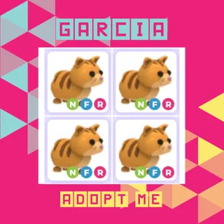 4x NFR Ginger Cat
