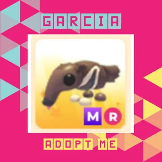 MR Giant Anteater