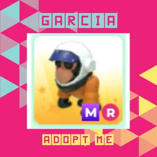 MR Astronaut Gorilla
