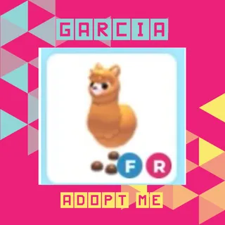 FR Alpaca