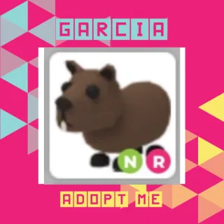 NR Capybara