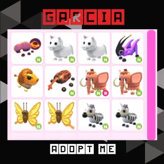 12x ADOPT ME PET CHEAP