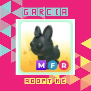MFR Amami Rabbit