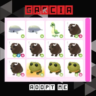 12x ADOPT ME PET CHEAP