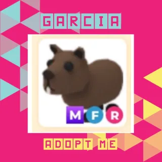 MFR Capybara