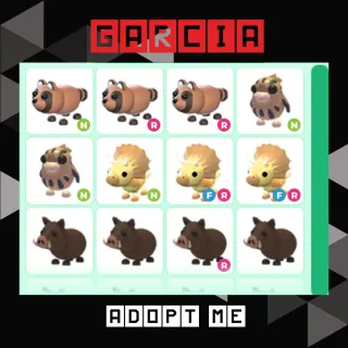 12x Adopt Me Pet CHEAP