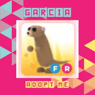 FR Meerkat