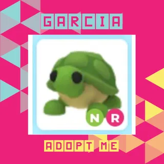 NR Turtle