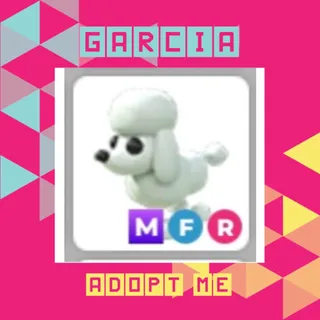 MFR Poodle