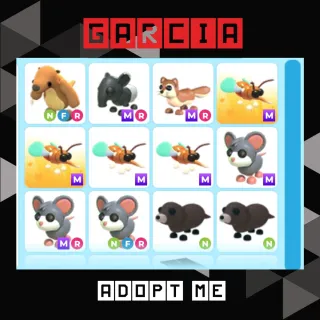 12x Adopt Me Pet CHEAP