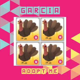 X4 R Turkey