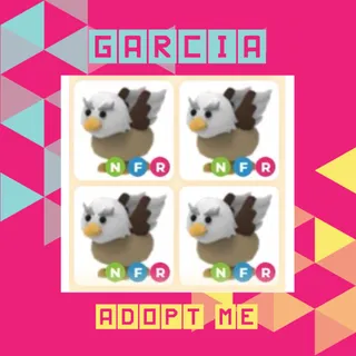 X4 NFR Griffin