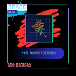 20x Candleberries