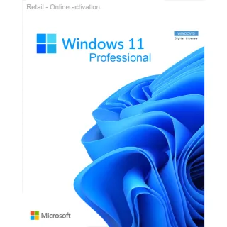 Windows 11 Pro