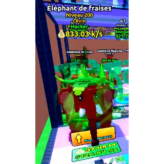 Elephant de fraises