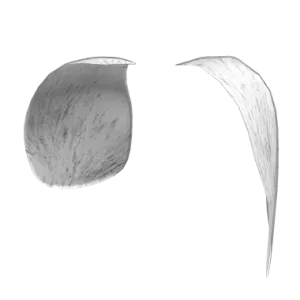 White Dog Ears Toy Code - Delivery under ~24H