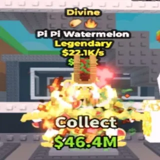 Divine Pi Pi Watermelon