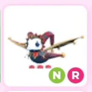 Nr Jester Dragon