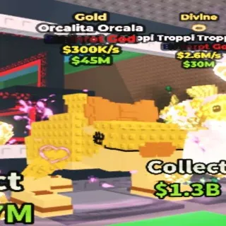 Gold Orcalita Orcala