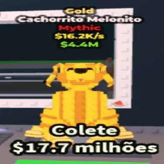 Gold Cachorrito Melonito