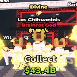 Divine Los Chihuaninis