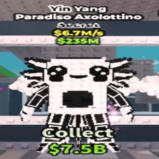 Yin Yang Paradiso Axolottino