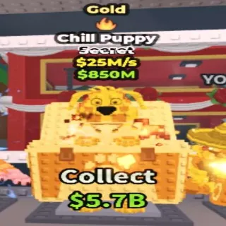Gold Chill Puppy