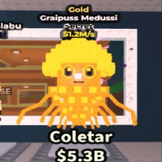 Gold Graipuss Medussi