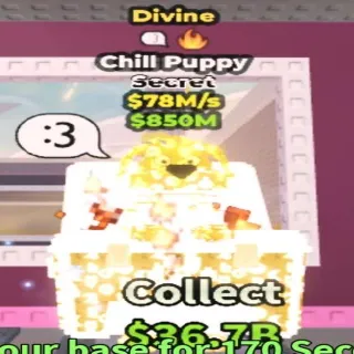 78M/s Divine Chill Puppy
