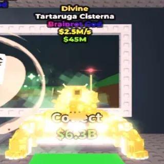 Divine Tartaruga Cisterna