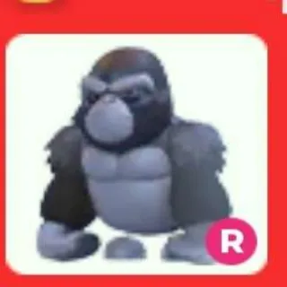 RIDE SILVERBACK GORILLA