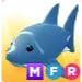 MFR Shark