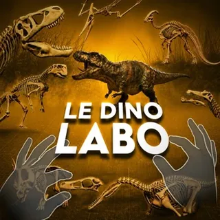 LE DINO LABO VR – Meta Quest