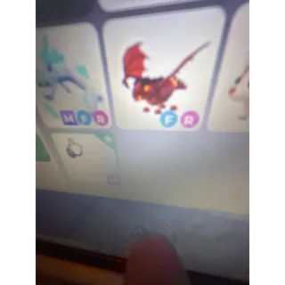 LAVA DRAGON (FR)