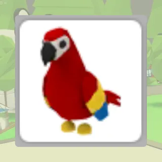 Adopt Me No Potion Parrot