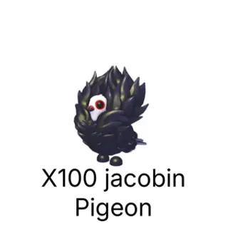 jacobin pigeon x100