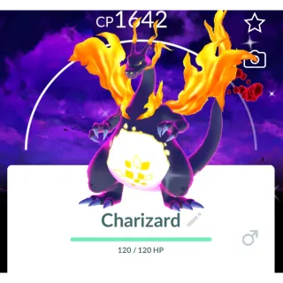 Shiny ✨ Charizard with Dark skies background 
