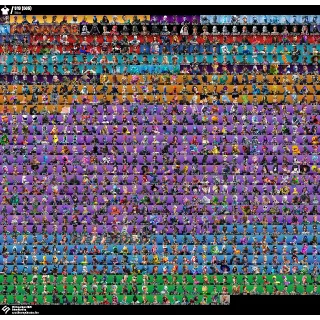 919 Skins + Og stw + Insane comp skins 