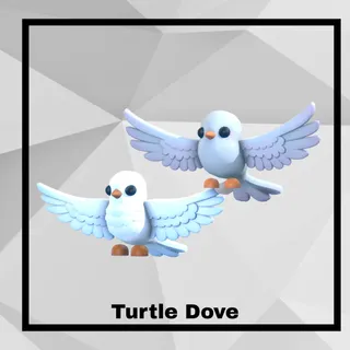 Turtle Dove