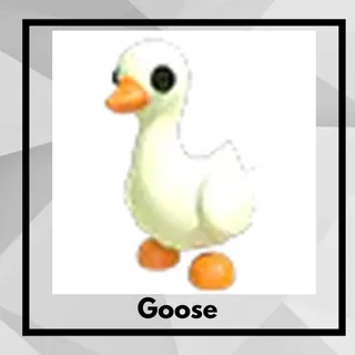 Goose