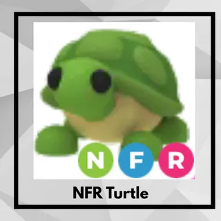NFR Turtle