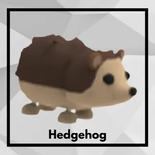 Hedgehog