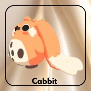 Cabbit
