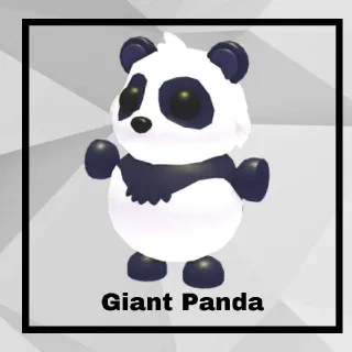 Giant Panda