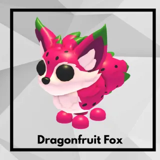 Dragonfruit Fox
