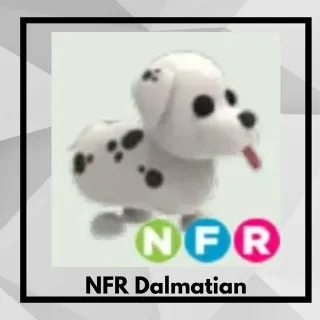 NFR Dalmatian