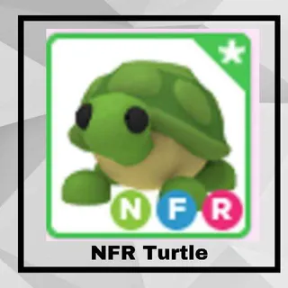 NFR Turtle