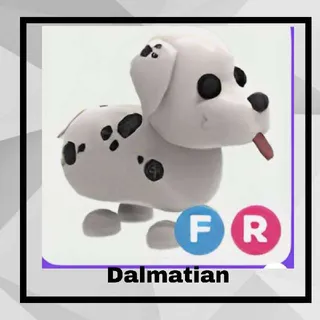 FR Dalmatian