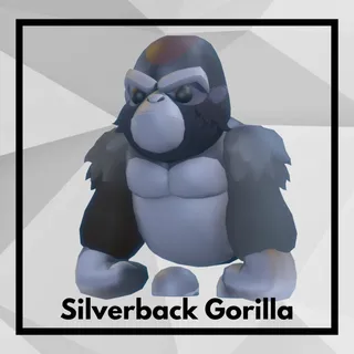 Silverback Gorilla