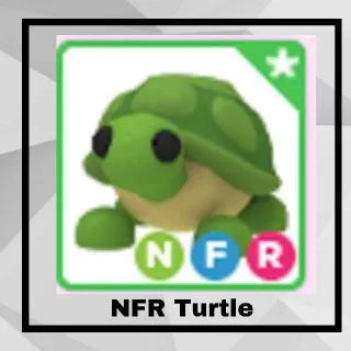 NFR Turtle